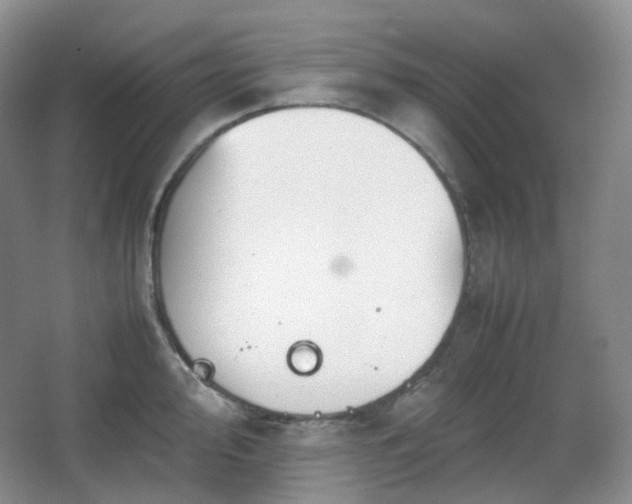 X0000067831000200604171122