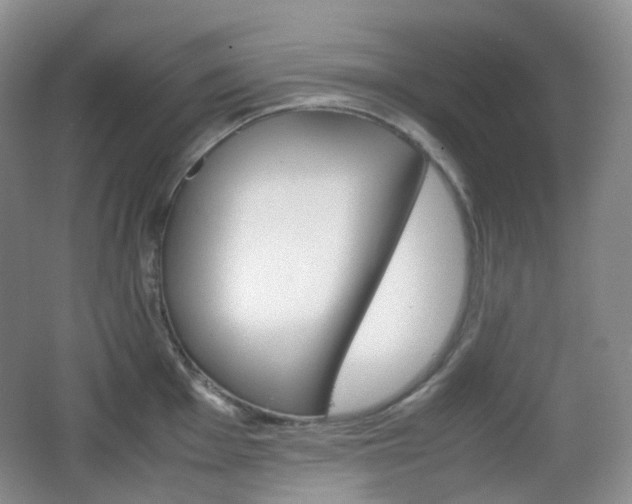 X0000067831001200604171122