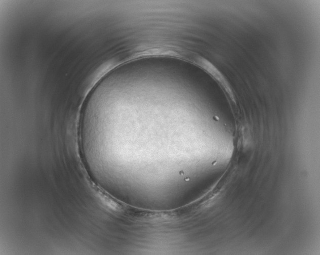 X0000067831002200604171122