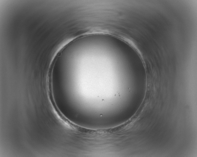 X0000067831003200604171122