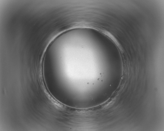 X0000067831004200604171122