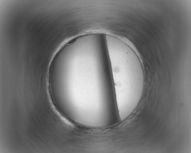 X0000067831005200604171122