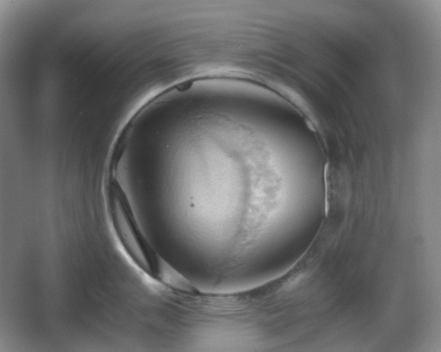 X0000067831007200604171122