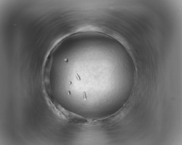 X0000067831008200604171122