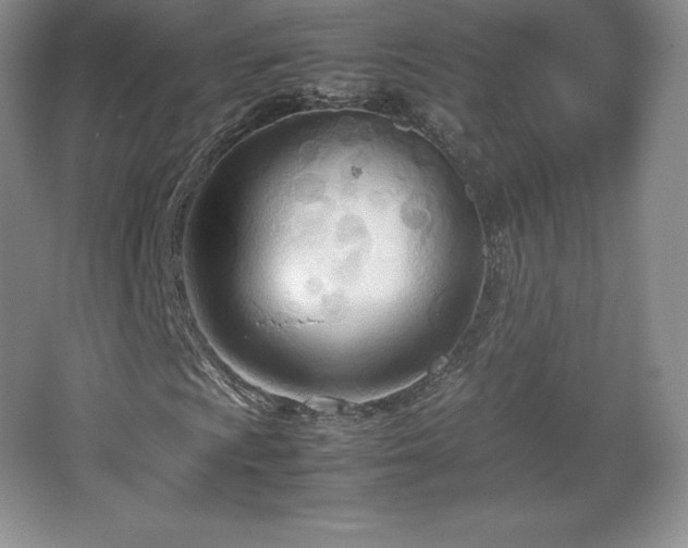 X0000067831009200604171121