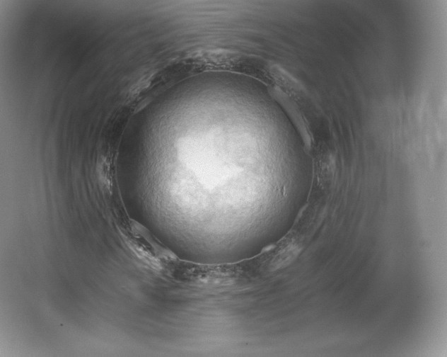 X0000067831010200604171121