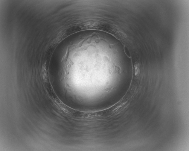 X0000067831011200604171121