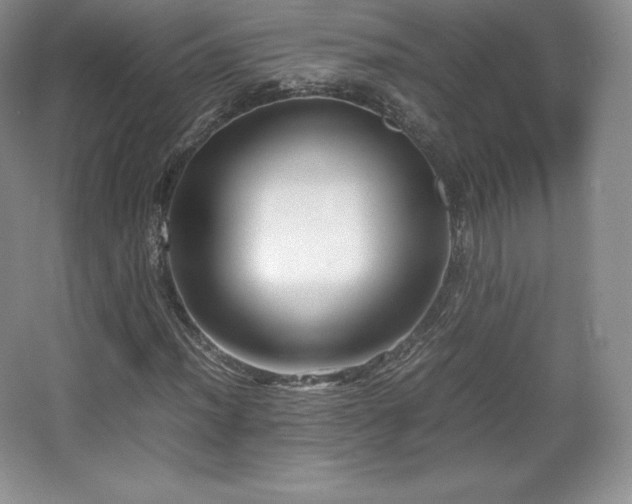 X0000067831012200604171121