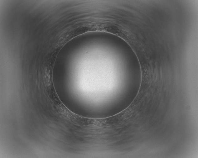 X0000067831013200604171121