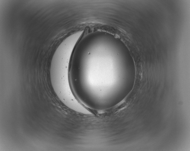 X0000067831014200604171121