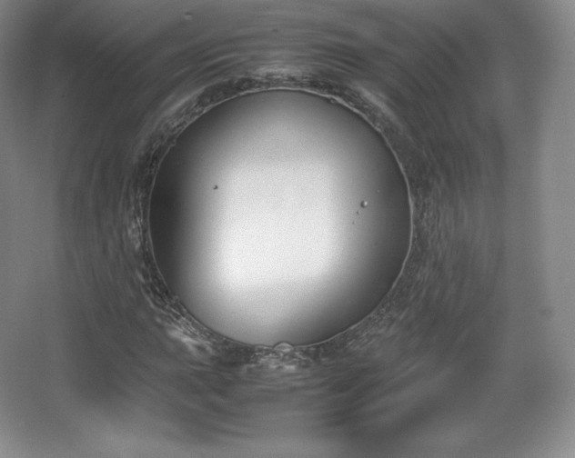 X0000067831015200604171121