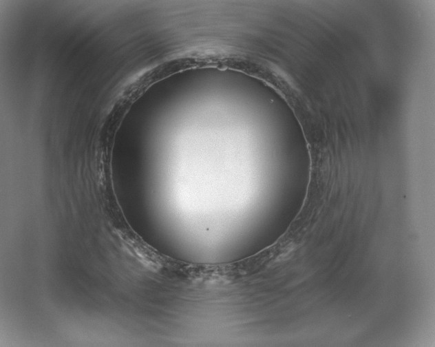 X0000067831016200604171121