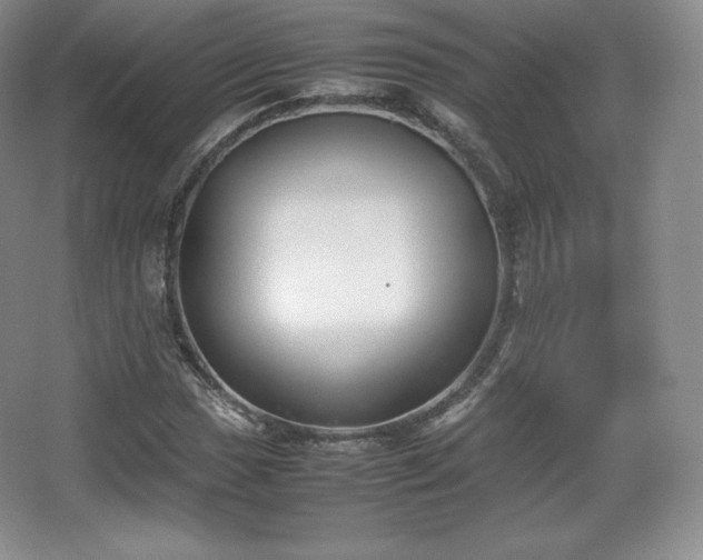 X0000067831017200604171121