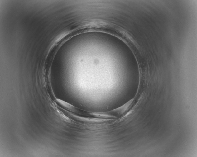 X0000067831018200604171121