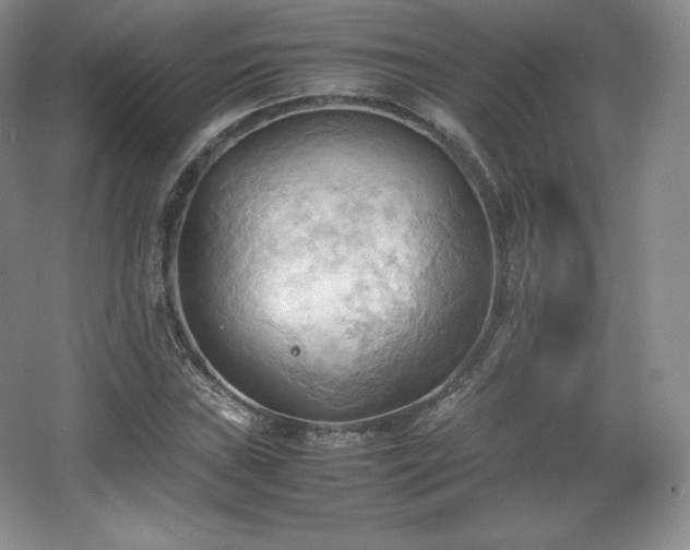 X0000067831019200604171121