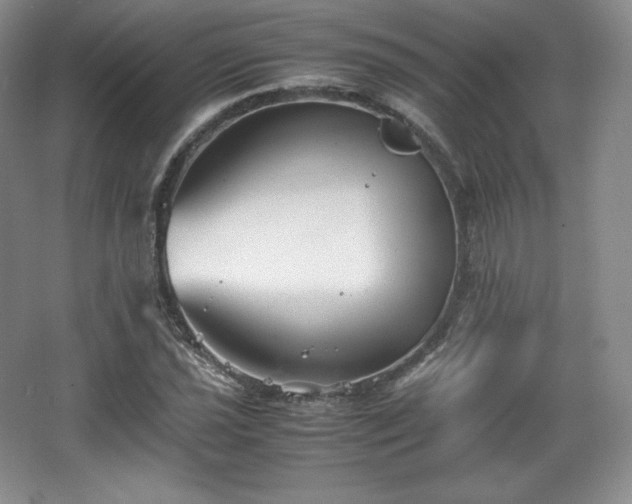 X0000067831021200604171121