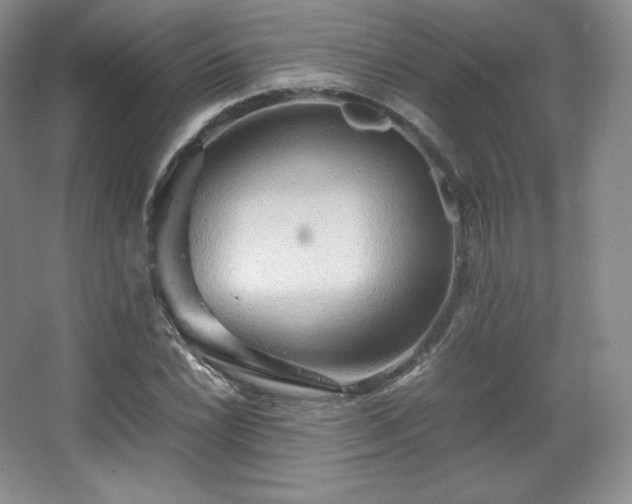 X0000067831022200604171121