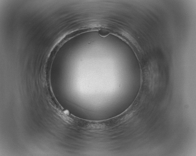 X0000067831023200604171121