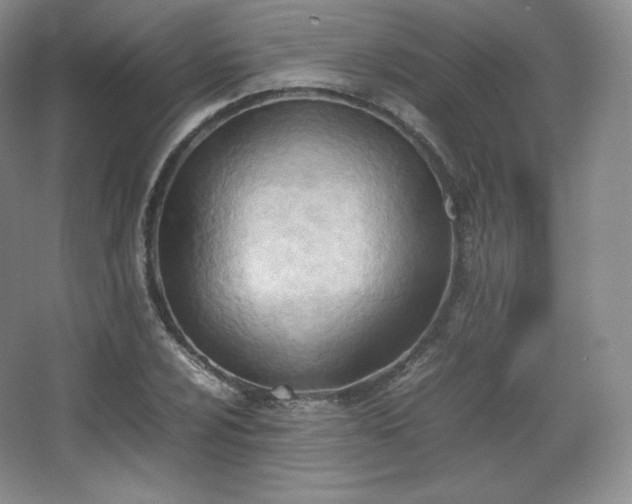 X0000067831024200604171121