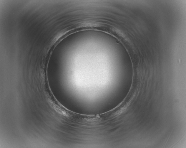 X0000067831025200604171121