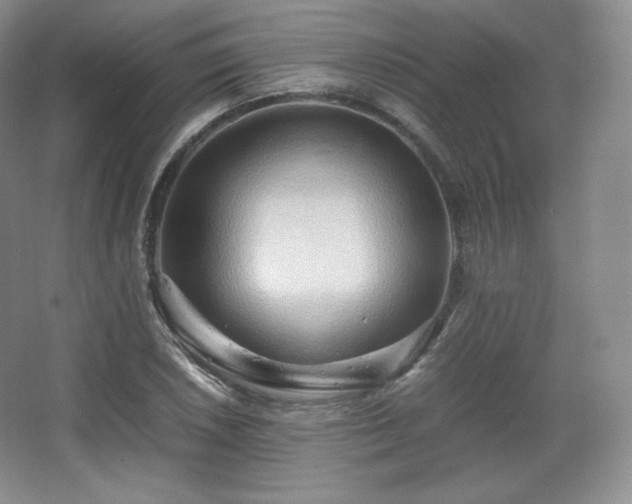 X0000067831026200604171121