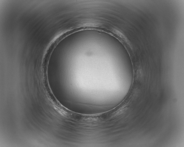 X0000067831027200604171121