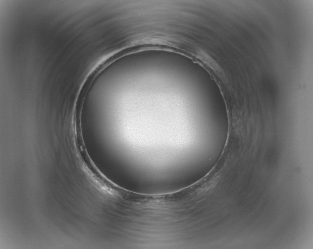 X0000067831028200604171121