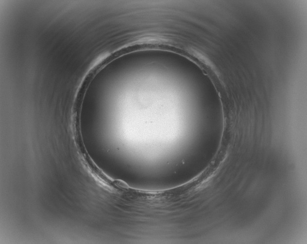 X0000067831029200604171121