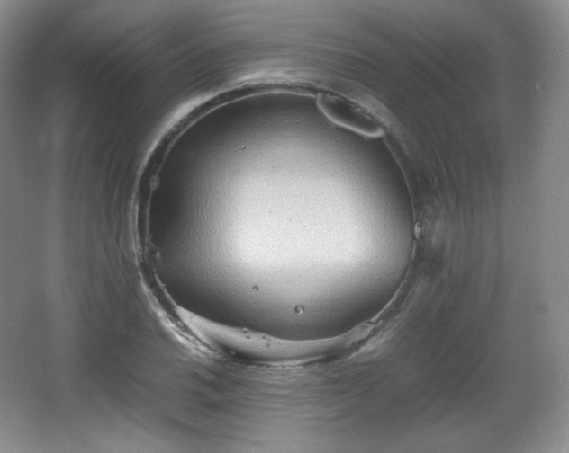 X0000067831030200604171121