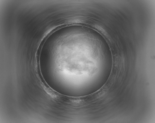 X0000067831031200604171121