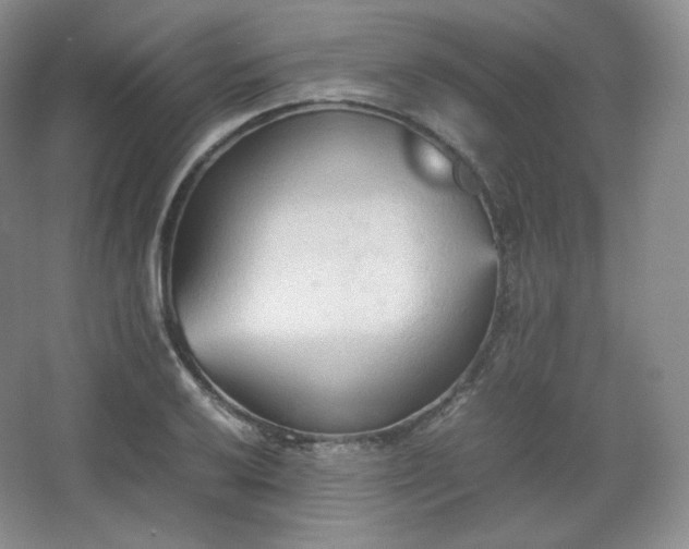 X0000067831032200604171121