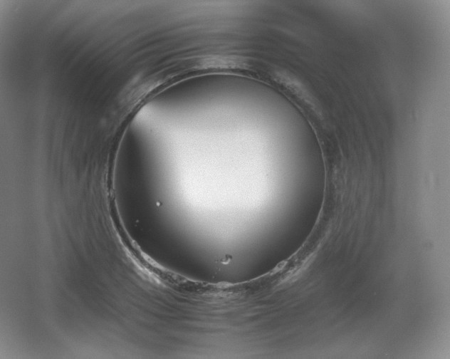 X0000067831033200604171121