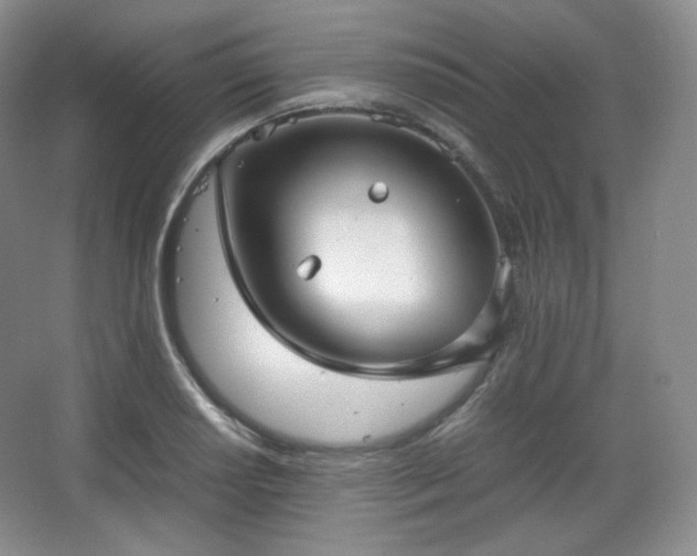 X0000067831034200604171122