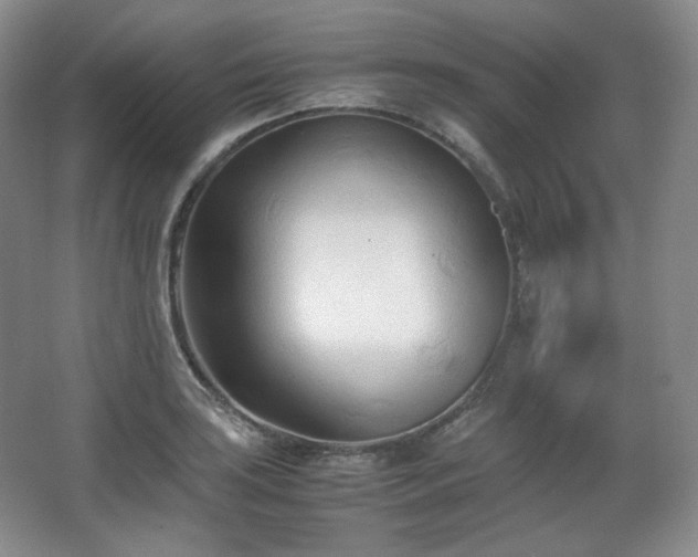 X0000067831035200604171122