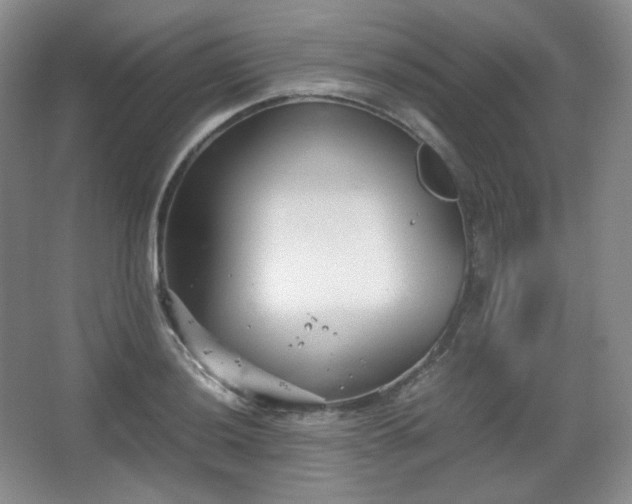 X0000067831036200604171122