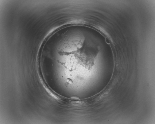 X0000067831037200604171122