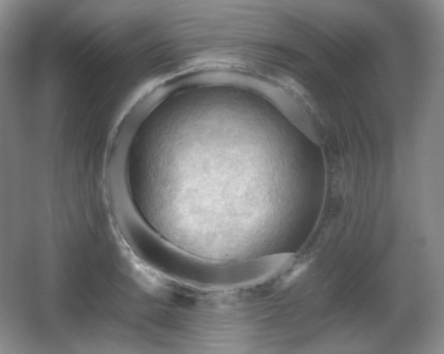 X0000067831038200604171122