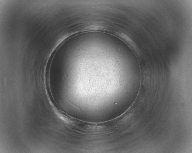 X0000067831039200604171122