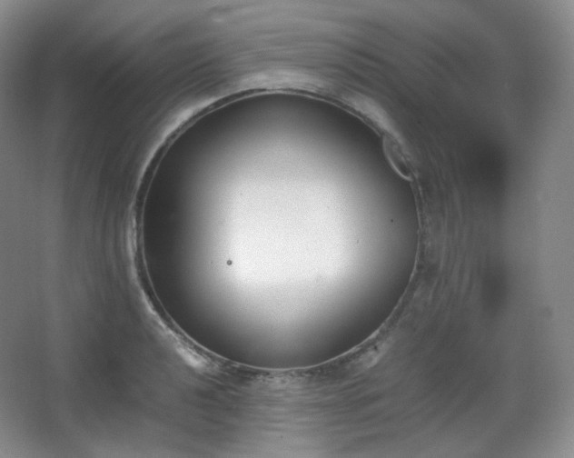 X0000067831040200604171122