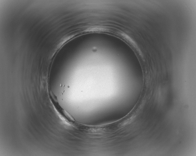 X0000067831041200604171122