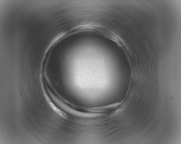 X0000067831042200604171122