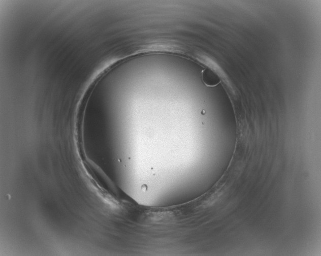 X0000067831043200604171122