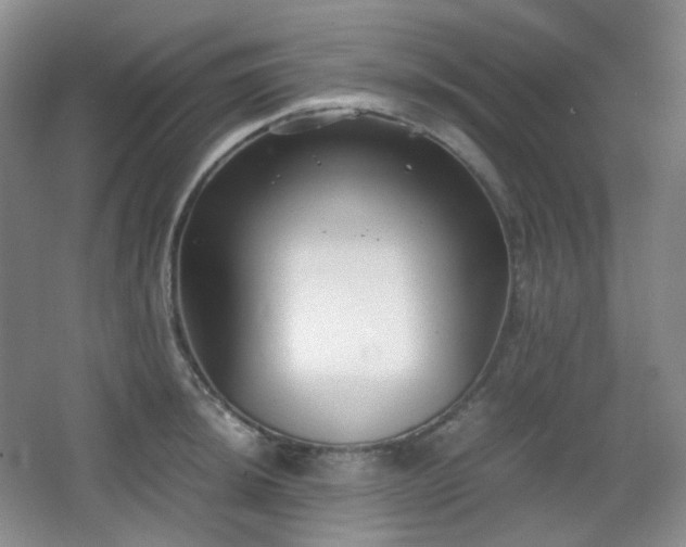 X0000067831044200604171122