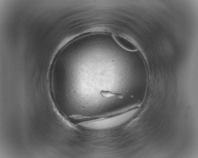 X0000067831045200604171122