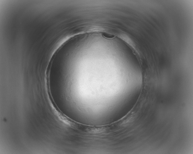 X0000067831047200604171122