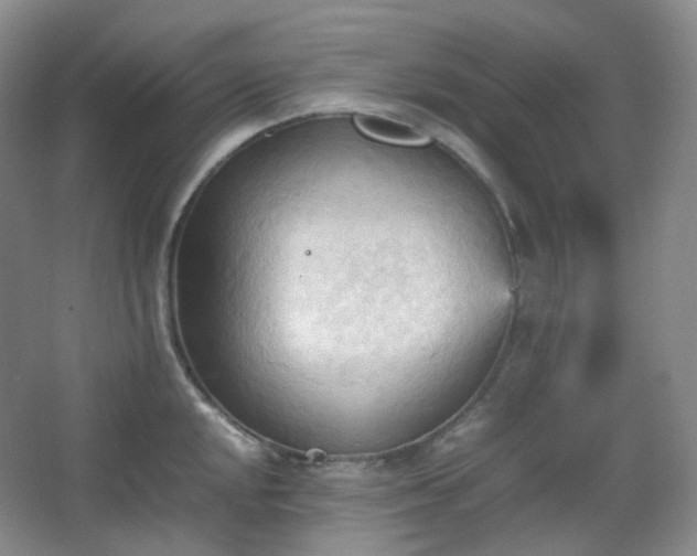 X0000067831048200604171122