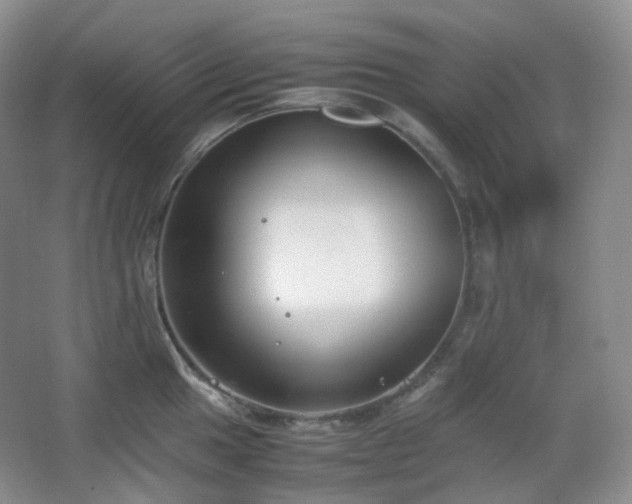 X0000067831049200604171122