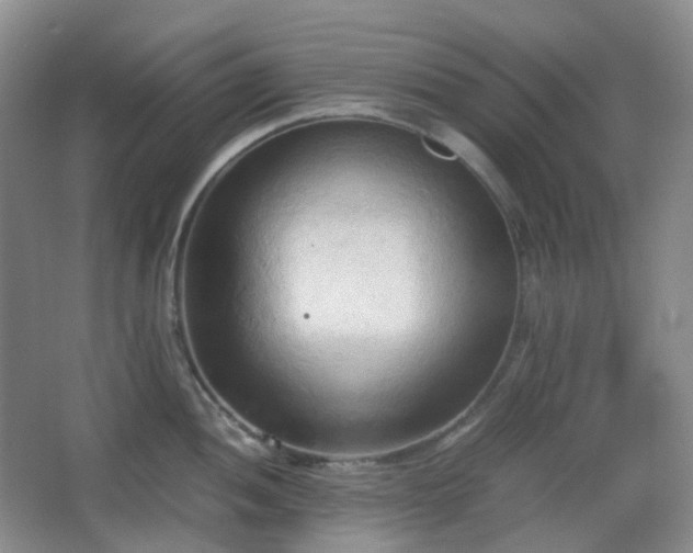 X0000067831052200604171122