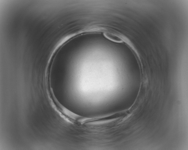 X0000067831053200604171122