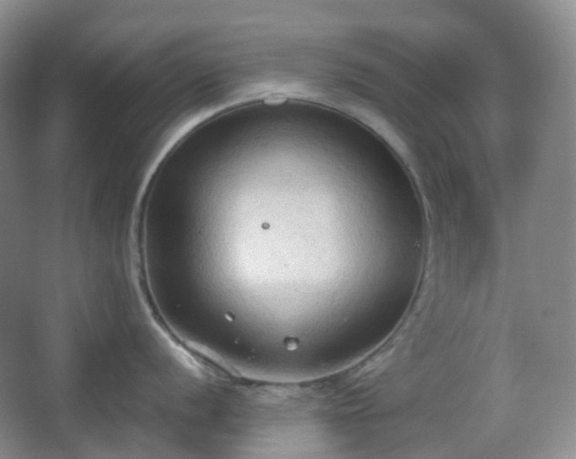 X0000067831056200604171122